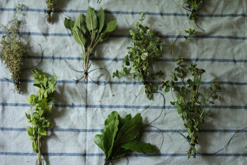 Preserving Herbs – Archie and the Rug